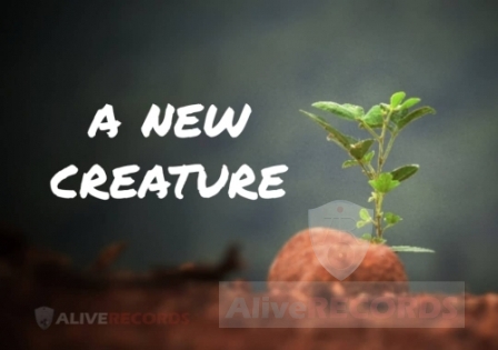 A new creature   image