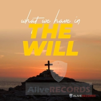 What we have in the will   image
